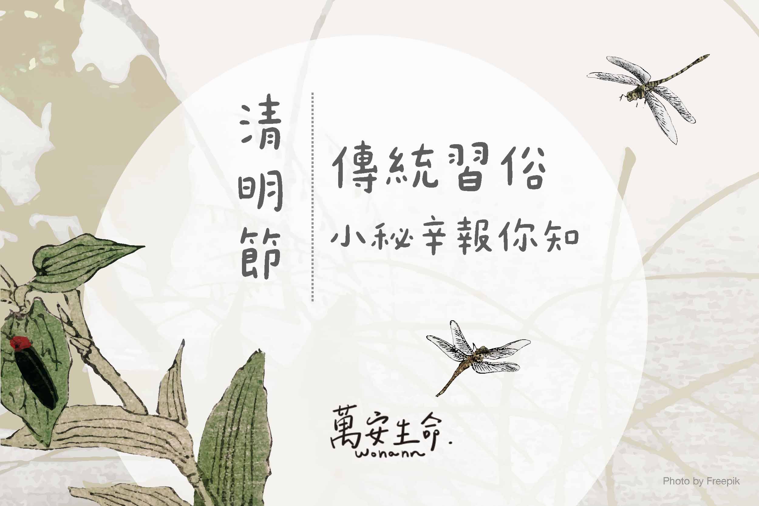 清明節掃墓什麼水果和鮮花不能拜？最合適的掃墓時間？為什麼要吃潤餅、草仔粿和紅龜粿？孕婦與幼兒可以掃墓嗎？掃墓衣服怎麼穿，對祖先才尊敬？